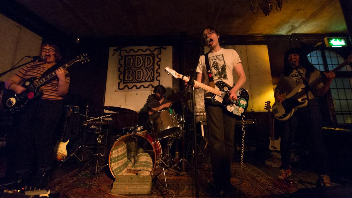 P.A.M.s @ A Day at Pig Beach, The George Tavern, 20th February 2016
