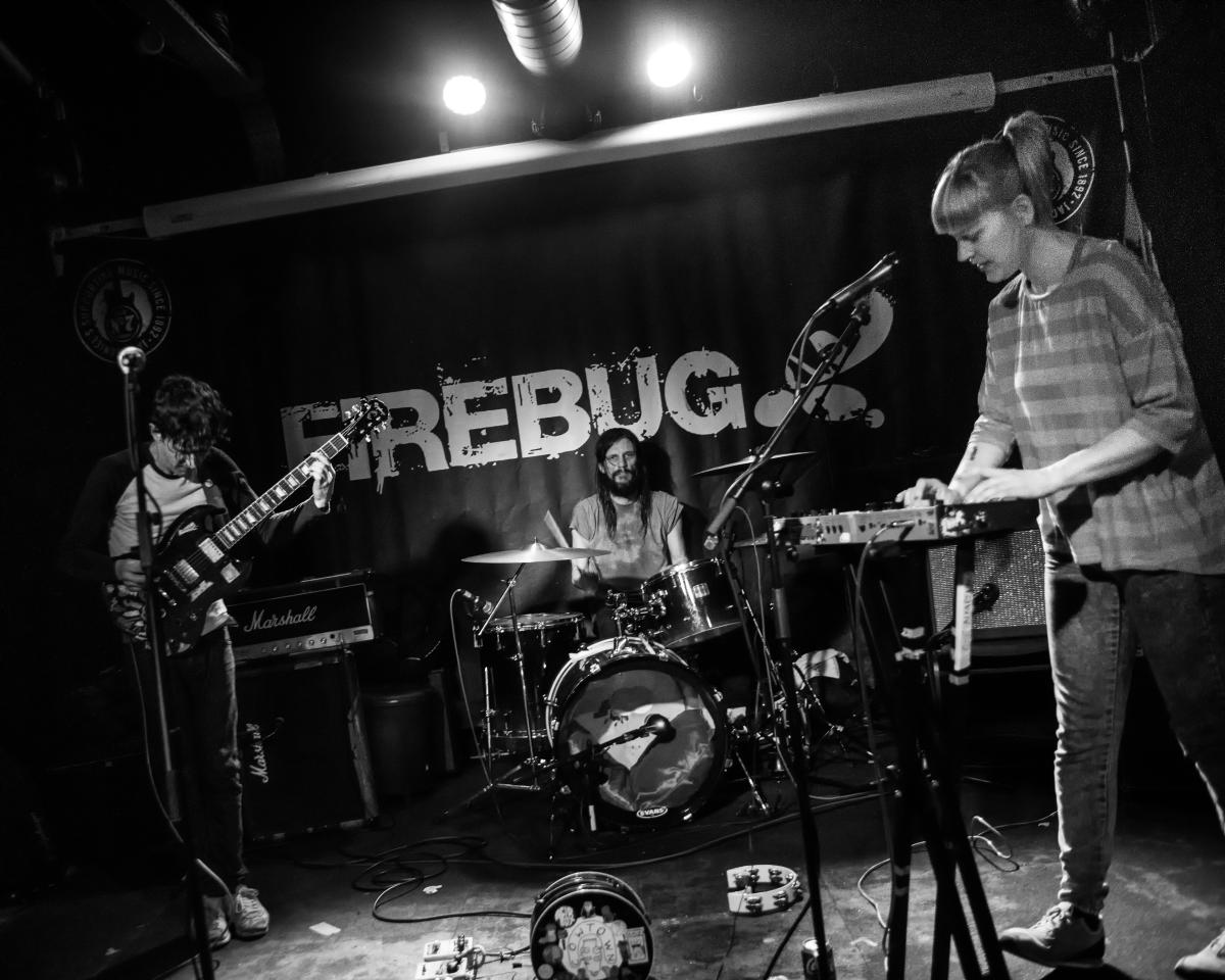 Cowtown @ Leicester Indiepop Alldayer, Firebug, 11th March 2017